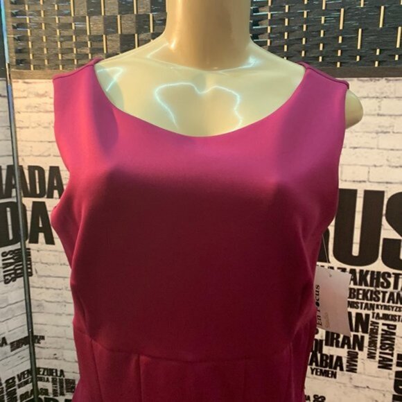 Enfocus Studio Berry Pleats Sleeveless Dress - Picture 2 of 6